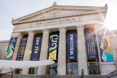 Chicago Attractions Pass: Save up to 50% – Includes 360 CHICAGO