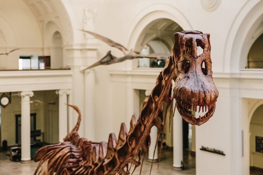 Chicago CityPASS®: Save up to 49% at 5 Top Attractions - 360 CHICAGO: a second skyline angle