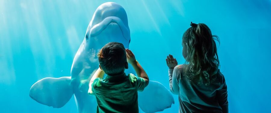 Chicago CityPASS®: Save up to 49% at 5 Top Attractions - Art Institute of Chicago: a good choice for slower afternoons