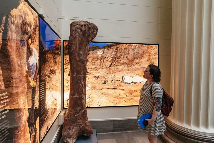 Chicago: Field Museum of Natural History Ticket or VIP Tour - Choose the ticket that matches your day