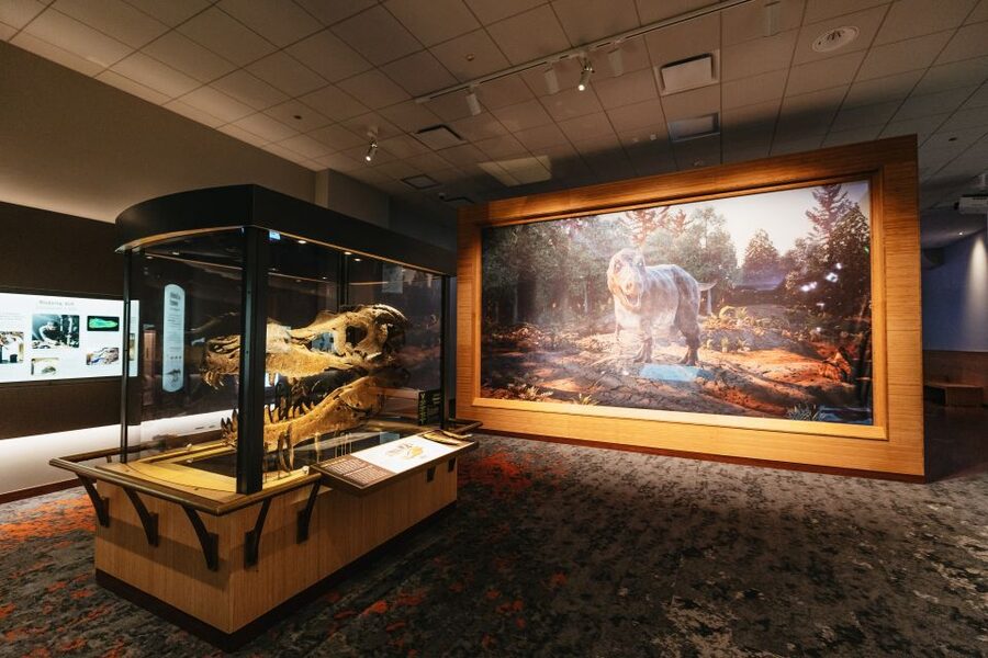 Chicago: Field Museum of Natural History Ticket or VIP Tour - Ancient Egypt, the Americas, and Africa