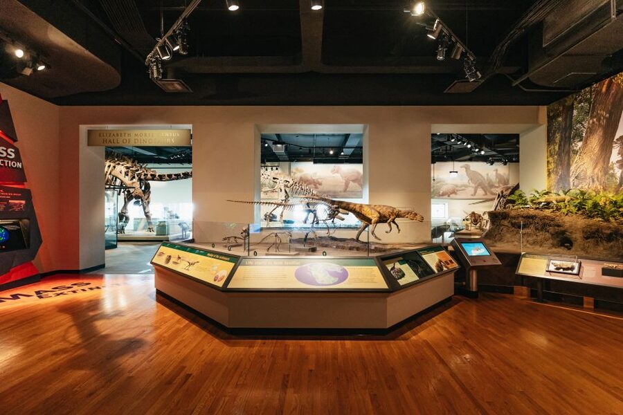 Chicago: Field Museum of Natural History Ticket or VIP Tour - Jade, gems, and the Underground Adventure