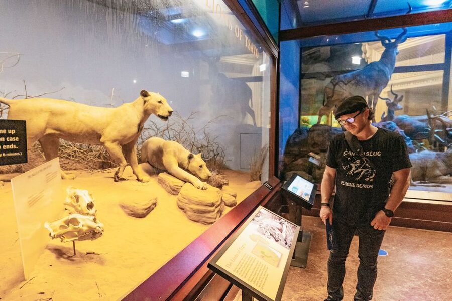 Chicago: Field Museum of Natural History Ticket or VIP Tour - How long you need, and how to avoid museum fatigue
