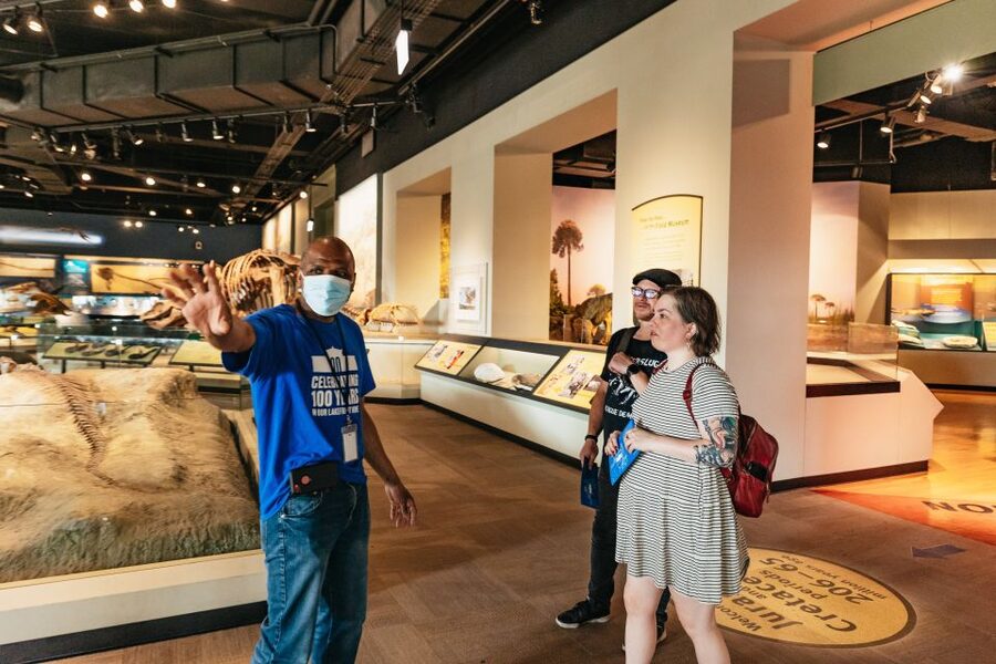 Chicago: Field Museum of Natural History Ticket or VIP Tour - Is $29 good value?