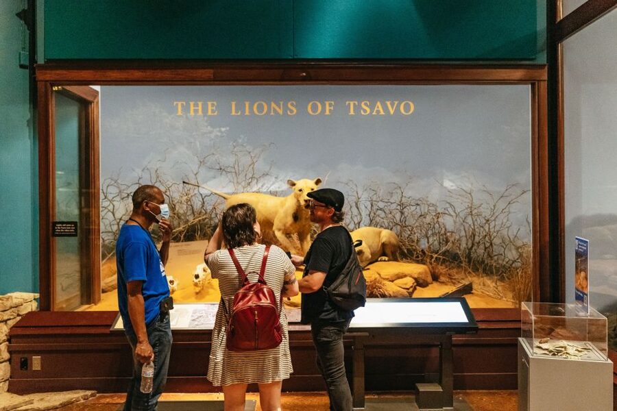 Chicago: Field Museum of Natural History Ticket or VIP Tour - What the Early Access VIP Tour adds