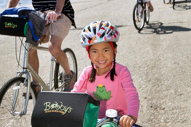 Chicago Full Day Bike Rental - Why a Chicago bike rental works so well