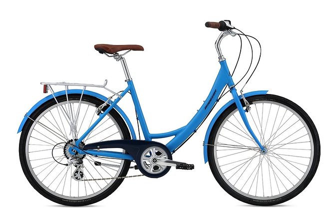 Chicago Full Day Bike Rental - Riding beside Lake Michigan to Navy Pier