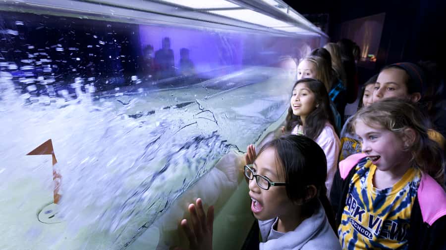 Chicago: Griffin Museum of Science and Industry Ticket - Why Griffin Museum of Science and Industry is worth your day