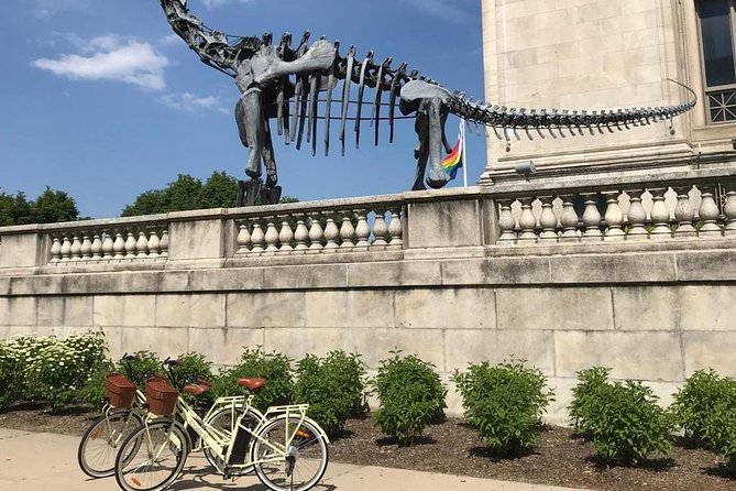 Chicago Lakefront Electric Bike Tour - What the guide adds to the ride