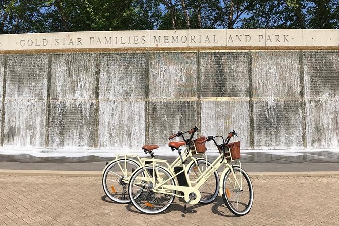 Chicago Lakefront Electric Bike Tour - Price and what you receive for $69.34