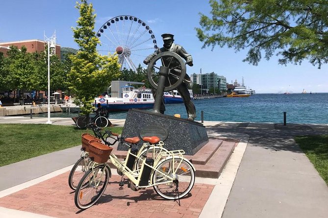 Chicago Lakefront Electric Bike Tour - Field Museum and Sue in a ten-minute stop