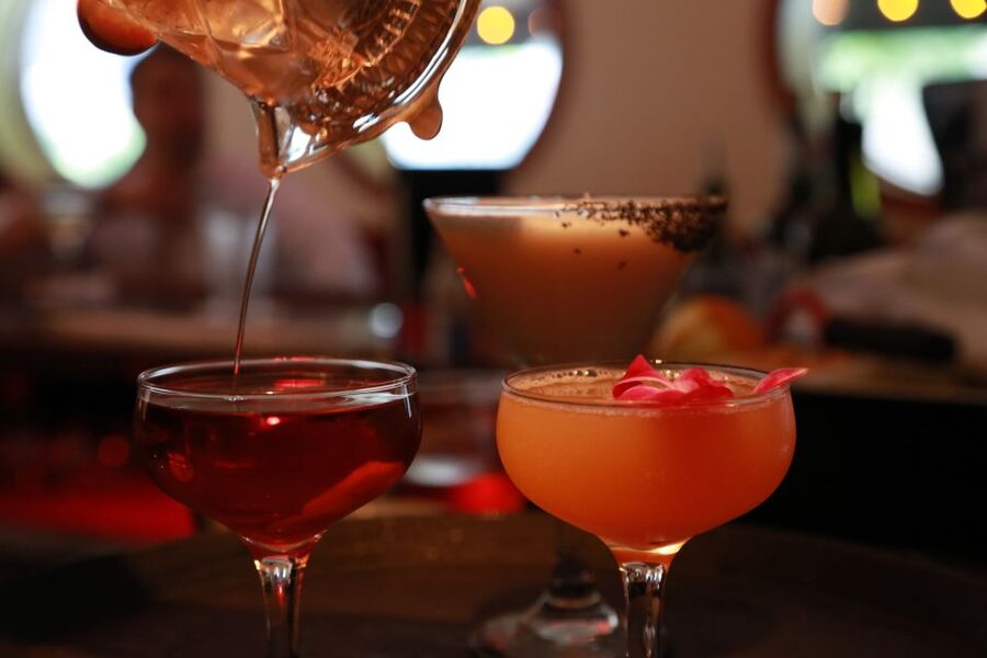 Chicago: Prohibition Speakeasies Bus Tour or Walking Tour - Who will enjoy this tour most