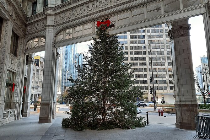 Chicago Seasonal Stroll Walking Tour of Holiday Attractions - Is $44.99 a fair price?