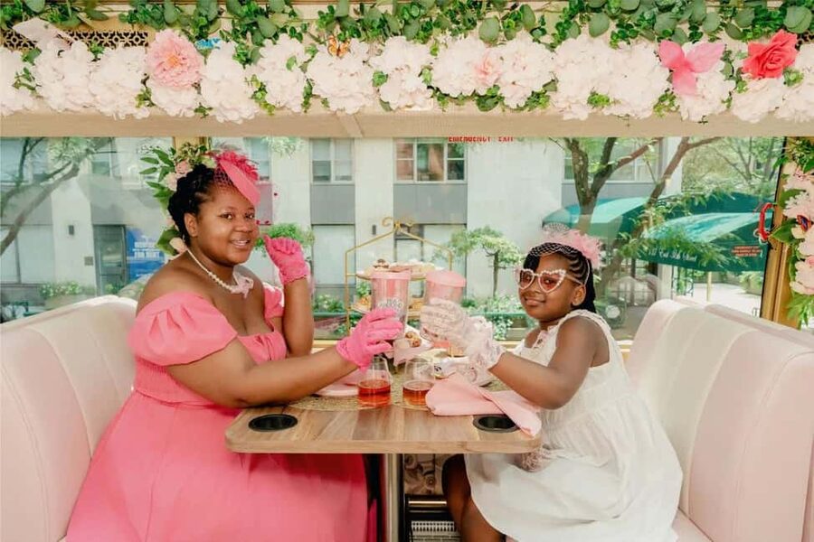 Chicago: Tea Around Town With Curated Teas & Iconic Sights - What the 90-minute ride feels like