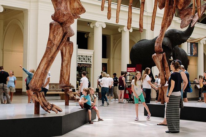 Field Museum of Natural History Admission Tickets - How much time should you allow?
