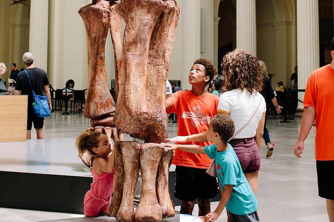 Field Museum of Natural History Admission Tickets - Practical planning for a smoother visit