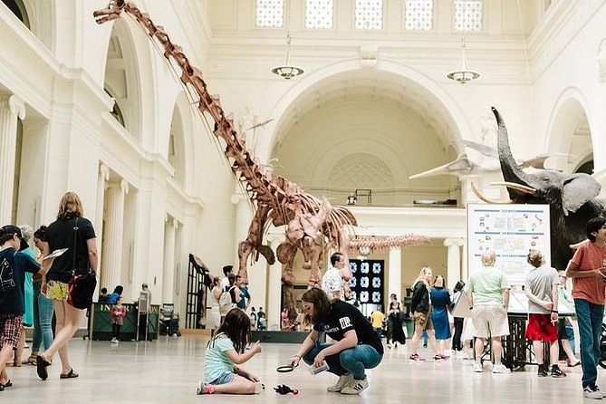 Field Museum of Natural History Admission Tickets - Jade, jewelry, and natural history beyond dinosaurs