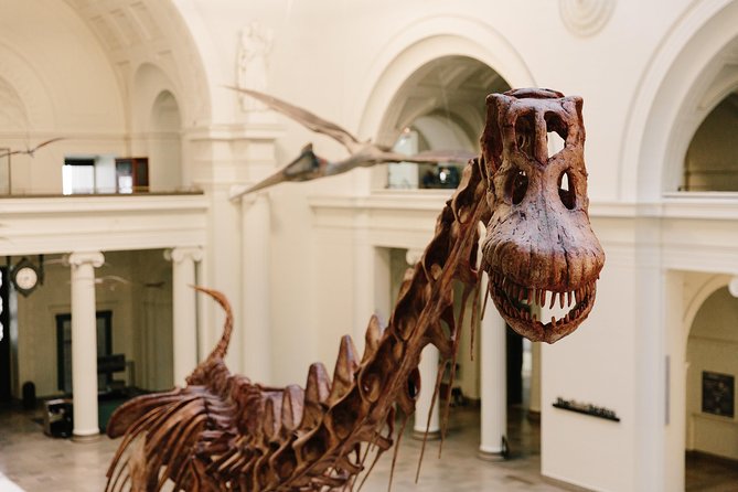 Field Museum of Natural History All-Access Pass - Why SUE is only the beginning