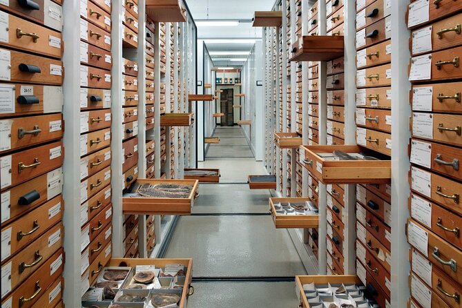 Field Museum of Natural History Early Access Ticket - What the docent adds to the experience