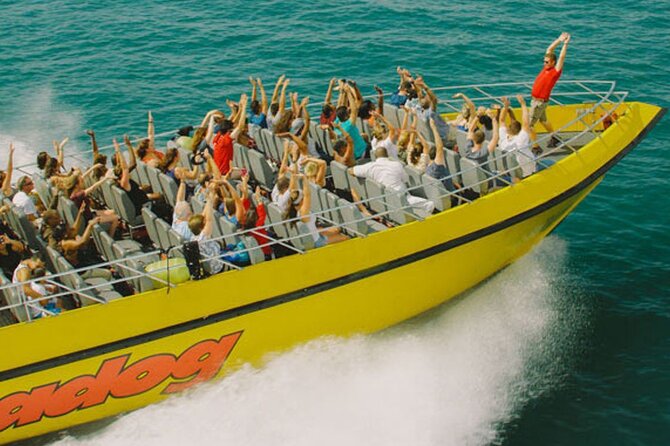 Lake Michigan 30-Minute Speedboat Ride - The first run past Navy Pier