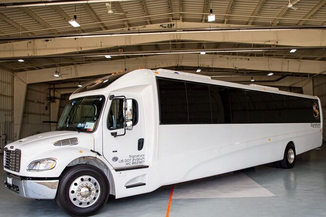 Luxury Minibus Chicago City Tour - Why this short Chicago tour works