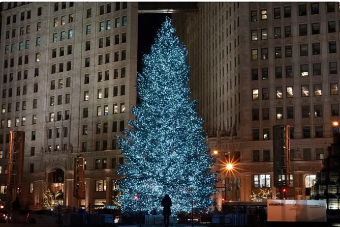Private Holiday City Tour - The Loop: Chicago’s holiday center in one hour