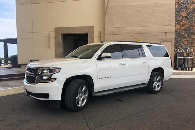 Private Transfer Chicago Airport MDW to Chicago Downtown - Vehicle expectations are the biggest question mark