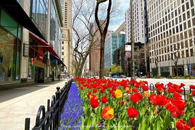 Welcome to Chicago: Private Half-Day Tour with 360 Observation Deck - Price, pace, and what you actually receive