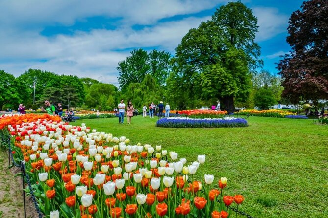Windmill Island Gardens Day Tour from Chicago – Kids Save 50% - Key points to know before you book