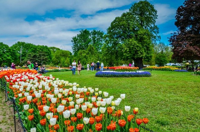 Windmill Island Gardens Day Tour from Chicago – Kids Save 50% - Why this Dutch-themed day trip works from Chicago