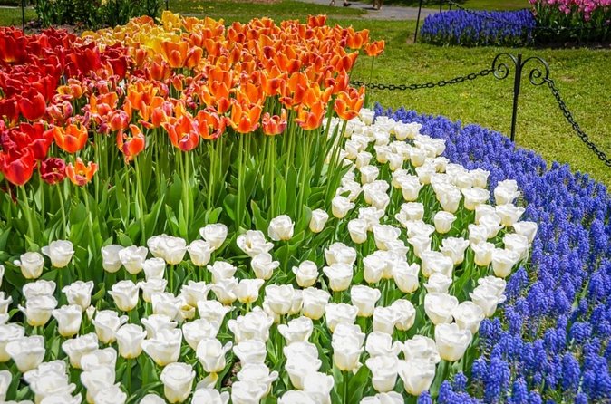 Windmill Island Gardens Day Tour from Chicago – Kids Save 50% - Walking through Holland with a local guide